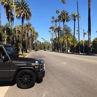 Отзыв от Альберт - DTV виза